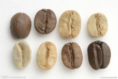 Pacamara boutique coffee introduces bourbon coffee beans and fruit coffee.