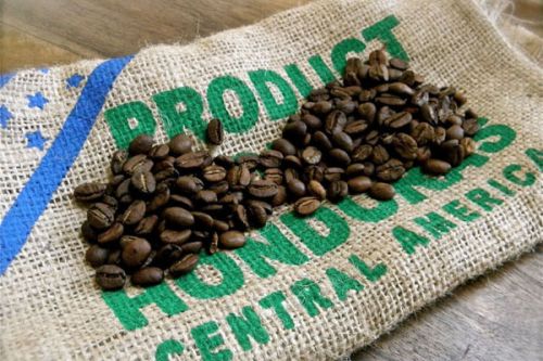 Where can I buy coffee beans? how much is it per jin of water to wash the raw bean price of Ethiopia 90 + company coffee?