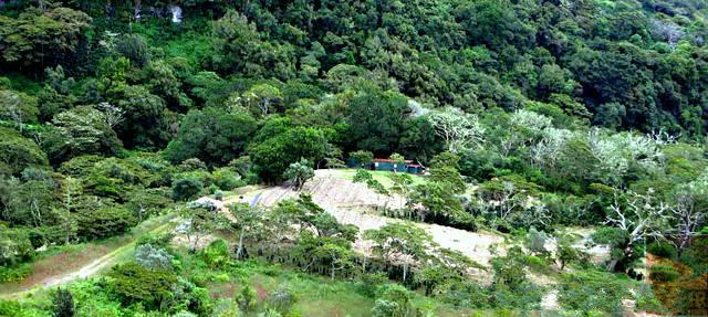 Panamanian producing area and Manor Elida Manor is located in Ailey, the Pokuit producing area in Chiriki Province, Panama.