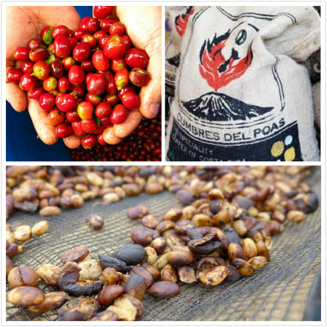 How to treat green coffee beans? Sunlight treatment Ethiopia Sunlight Ye Jia Xue Fei Ye Jia Xue Fei G1