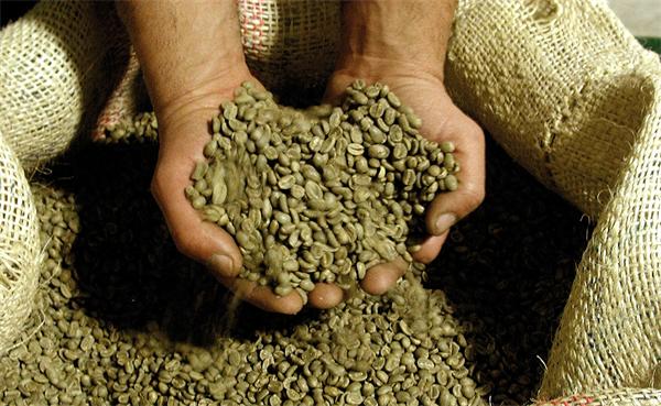 What are the major coffee producing countries in Africa? Tanzania AA, Tanzania, black coffee.