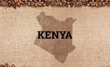 2016 Kenyan specialty Daquan Kenya coffee strategy fresh orders for roasted coffee beans Kenya aa