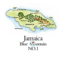 How much is the Jamaican Blue Mountain Coffee Bean? Jamaican Coffee Bean manufacturer Jamaica Coffee Bean Company