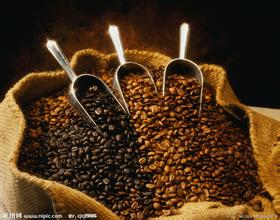 Rwanda coffee beans introduce the characteristics of Rwanda coffee beans the price of Rwanda coffee beans