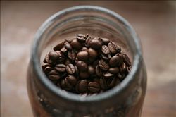 Types and characteristics of coffee beans what is the price of coffee beans