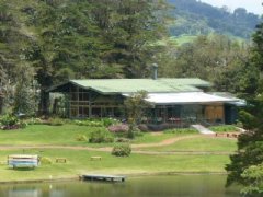 Coffee at santa rita Shengrita Manor, Santa Rita, Colombia