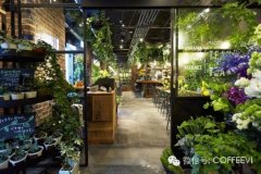 Japanese cafes recommend TEA HOUSE, a dining space full of oil and green.