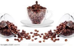 Fine Coffee Mocha Coffee Bean Flavors Floral, Apple, Walnut, Sugar Cane