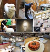 A Korean cafe with baa sheep