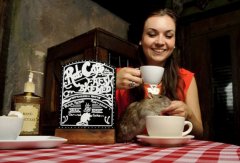 British mouse-themed cafes