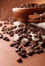 What kind of conditions do you need to grow coffee trees?