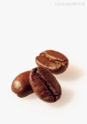 How much do you know about Robusta? What's a lo bean?