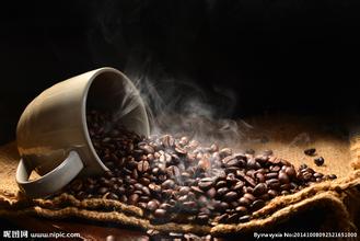 How many kinds of coffee beans are there in the world