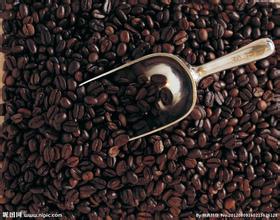 The origin of mocha coffee the blending method of mocha coffee
