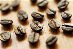 Characteristics and types of Coffee beans Coffee beans are treated in the sun.