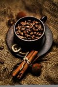 The Origin of Coffee beans the treatment of coffee beans