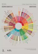 Coffee Taste Spectrum and Flavor Wheel scaa Coffee Association