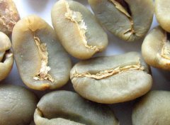 How to inspect raw coffee beans by hand