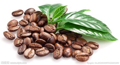 How many kinds of coffee beans are there? what are the African beans?