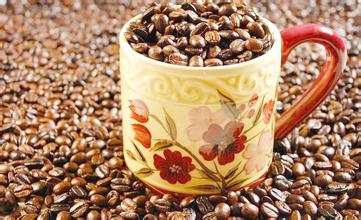 What are the basic types of coffee beans?