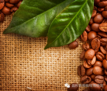 Panamanian coffee beans are affordable, high quality and stable coffee estates.