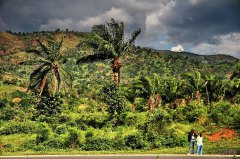 It may be Ecuador, the highest coffee grower in the world.