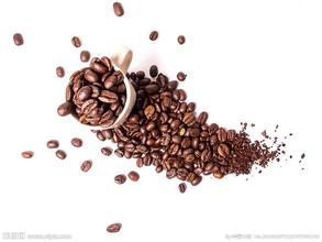 The Prospect of Chinese Fine Coffee Market introduction of Coffee Market Prospect