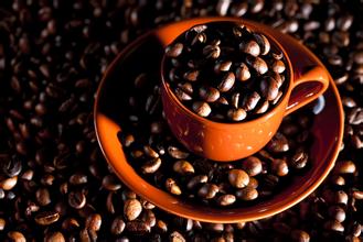 Introduction to the Origin Culture of Indonesian Coffee beans Malaba Coffee in India