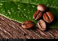 Panama has the highest Baru Volcano coffee in Central America.