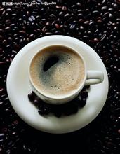 Introduction to the origin of coffee beans