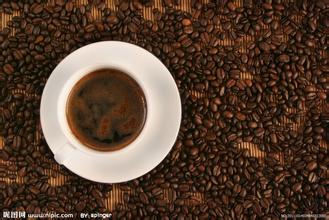 The basic introduction of Jamaica Blue Mountain Coffee