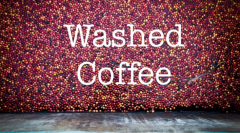 Coffee bean treatment method of washing, entry coffee must understand