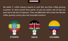 Top 10 countries of origin of coffee beans in the world-boutique coffee