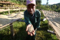 Defense of Coffee in Central America: searching for Super genes to Save Wild Coffee