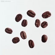Classification and causes of coffee defective beans all black beans SCAA grade worm-eaten beans