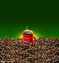 Coffee beans four famous beans and high-quality coffee beans introduced by producing countries