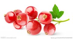 Looking forward to (Perci N2) strong cherry carob vanilla 90 + Panamanian Rosa Manor sun