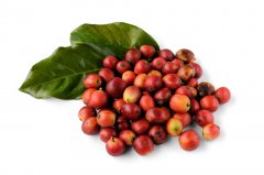 About the certification of coffee beans, what is 4C coffee beans? imported high-quality coffee.