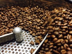 The properties of coffee beans during the roasting process of roasted raw beans heated by fried beans Robustas Robbins themselves