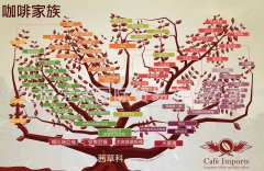 Two pictures of coffee family tree in Chinese and English to learn more about coffee variety system.
