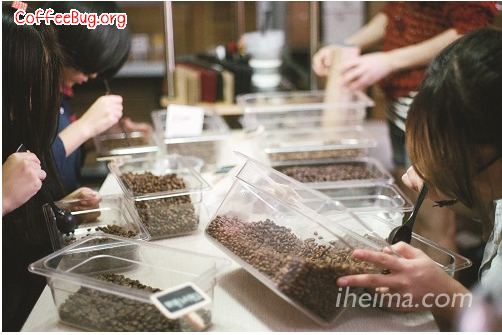 Taobao shops, which specialize in roasting coffee, prop up the coffee business with focus.