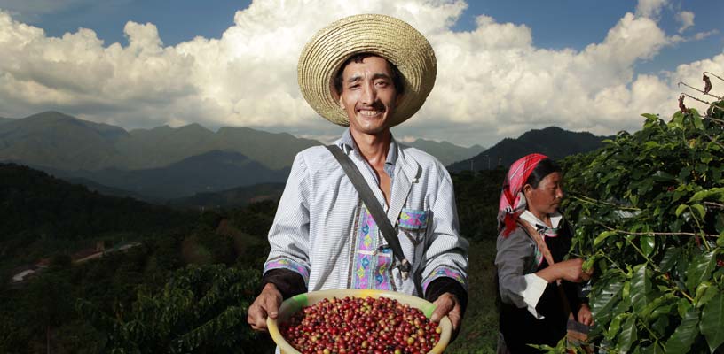 Comparison of characteristics between Yunnan Coffee in China and World famous Coffee