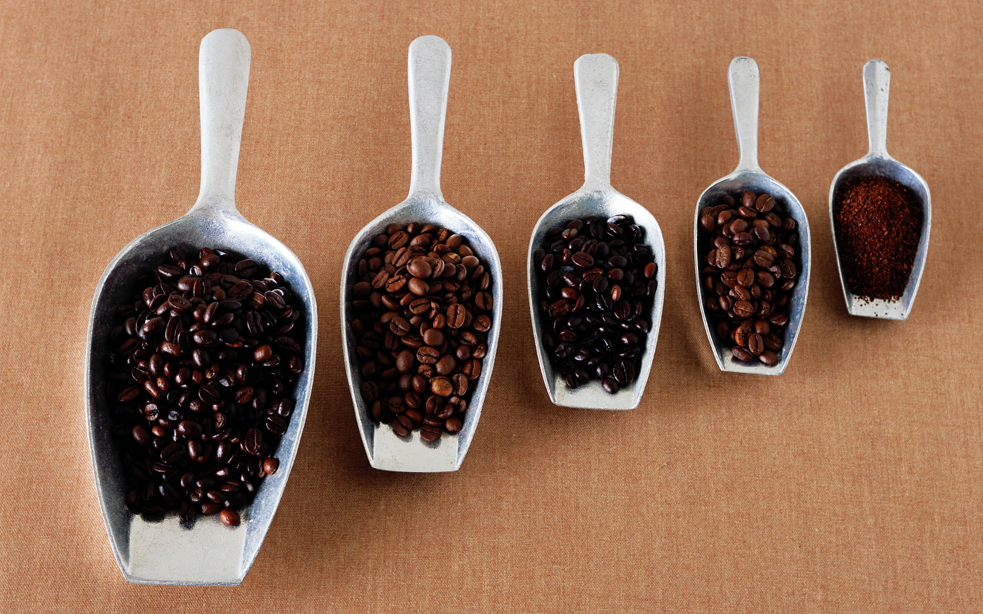 The champion demonstrates the operation of hand-brewing coffee to make a perfect cup of coffee.