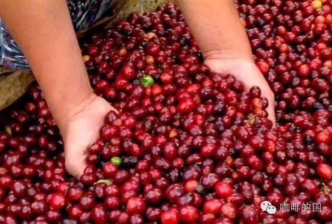 The trade pattern of raw coffee beans is changing, with both challenges and opportunities.