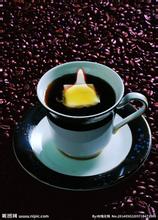 Introduction of Indonesian Kopi Luwak Flavor Coffee Fine Coffee in Indonesian Coffee producing area