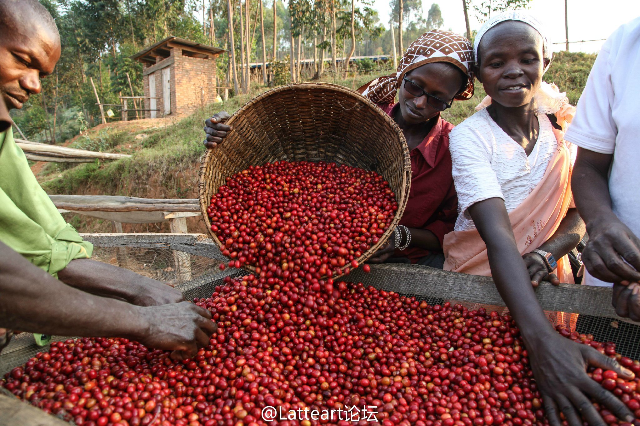 The fragrance of troubled times Honduras coffee is rich and balanced.