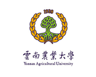 Having a cup of coffee while having class? The most romantic major will be Yunnan Agricultural University.