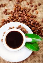 Characteristics of Dominica coffee beans in Dominica coffee producing areas