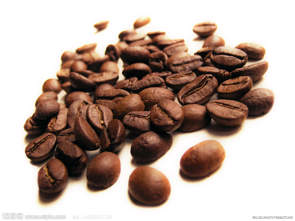 Characteristics of Jamaican Coffee varieties with low yield introduction to Fine Coffee beans in Manor