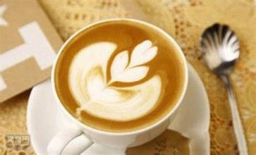 Java Coffee with low acidity and Lubricating taste introduction to fine coffee in manor area